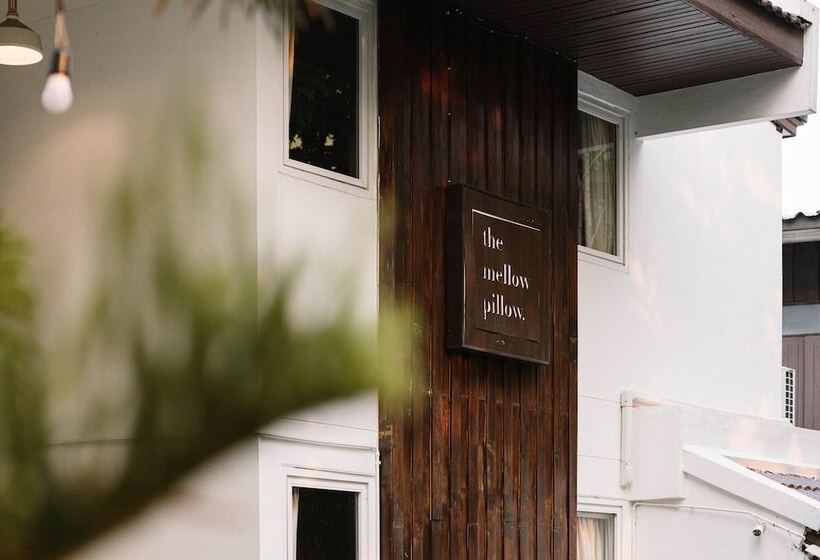 Fotos del hotel The Mellow Pillow At Chiang Mai Gate:  22