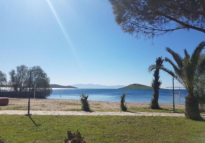 Fotos del hotel Club Muskebi:  12