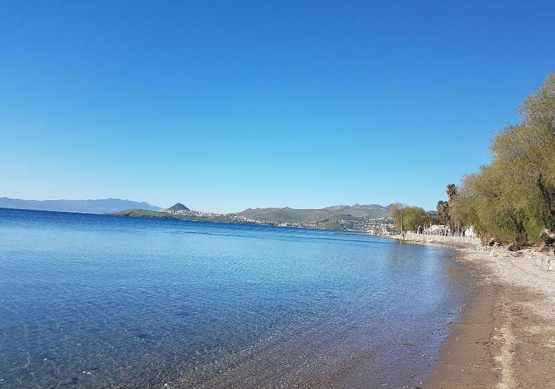 Fotos del hotel Club Muskebi:  15