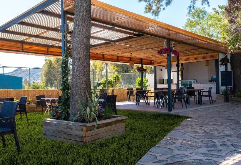 Fotos del hotel Club Muskebi:  16