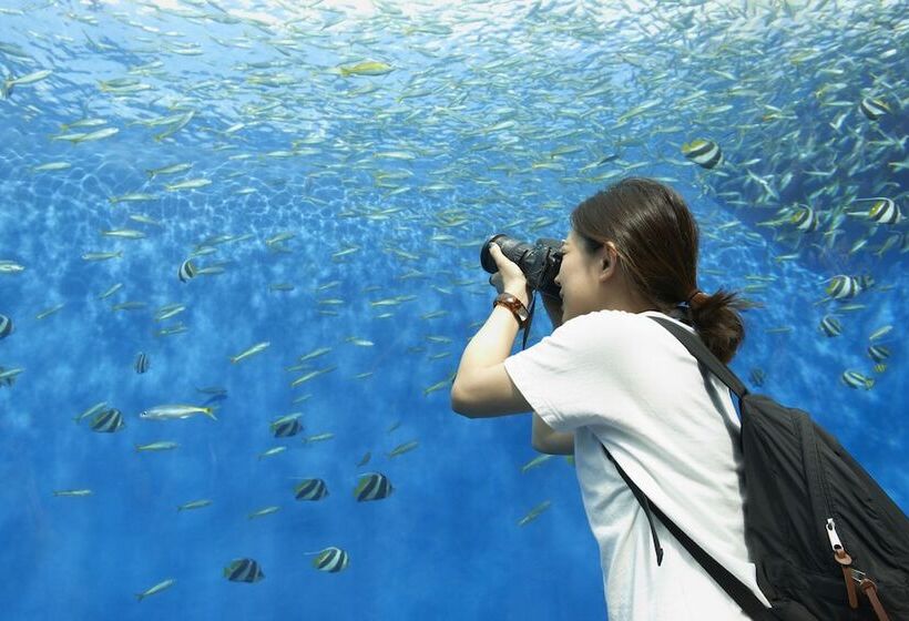 Fotos del hotel Hiyori  Osaka Namba Station:  3