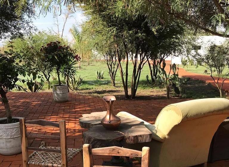 Fotos del hotel Agave Azul:  6