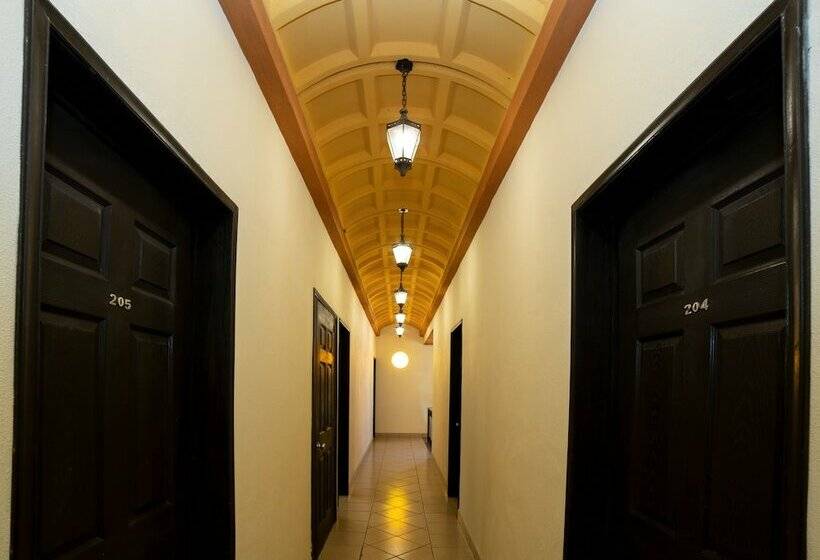 Fotos del hotel Capital O  Terracota:  7