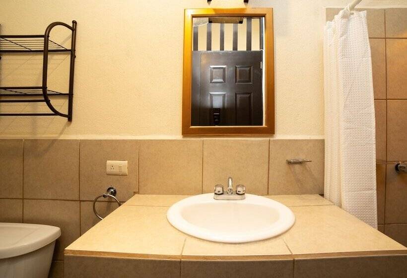 Fotos del hotel Capital O  Terracota:  11