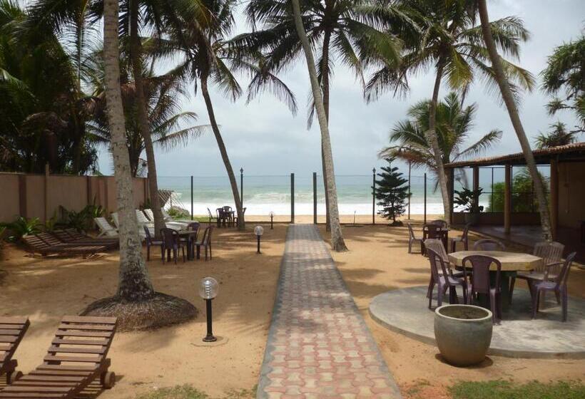 Fotos del hotel Ocean View Cottage:  15