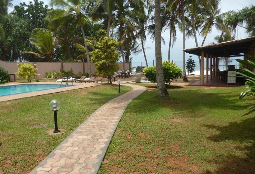 Fotos del hotel Ocean View Cottage:  19