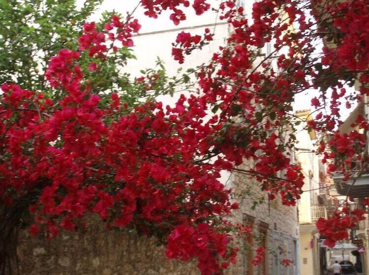 Fotos del hotel Polyxenia:  9