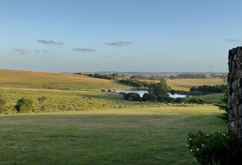 Fotos del hotel Casa Quetzal:  15