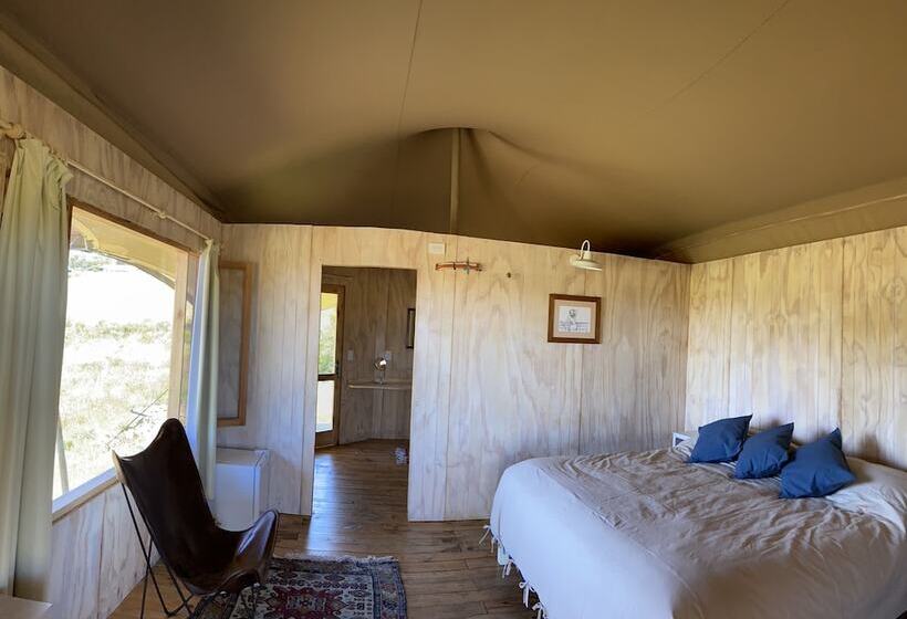 Fotos del hotel Casa Quetzal:  5