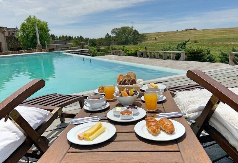 Fotos del hotel Casa Quetzal:  3