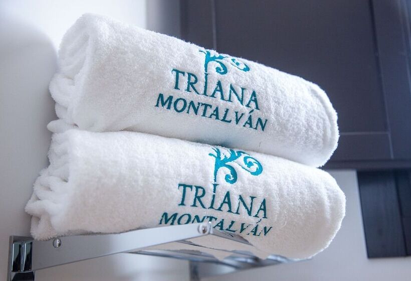 Fotos del hotel Triana Montalvan:  10