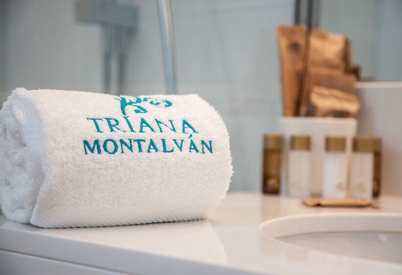 Fotos del hotel Triana Montalvan:  9