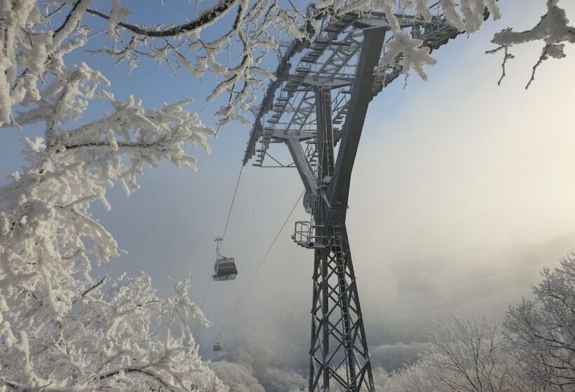 Fotos del hotel Phoenix Pyeongchang:  10