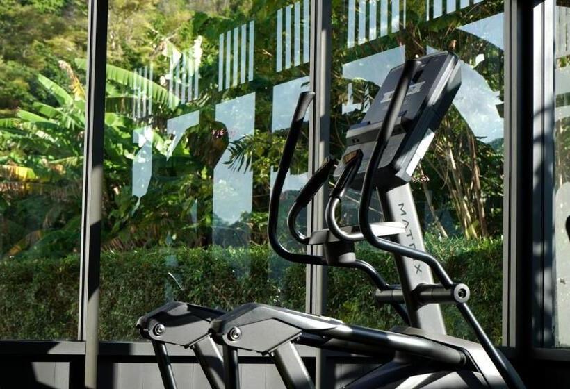 Fotos del hotel Marina Gallery Resortkachakalim Bay  Sha Plus:  20