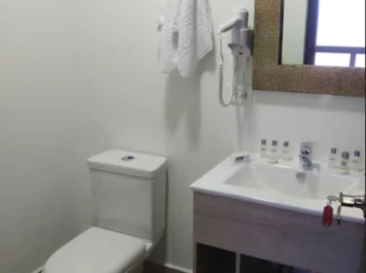 Fotos del hotel Lleras Express:  16