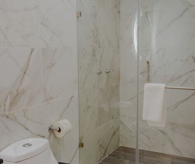 Fotos del hotel Kavia Monterrey:  7