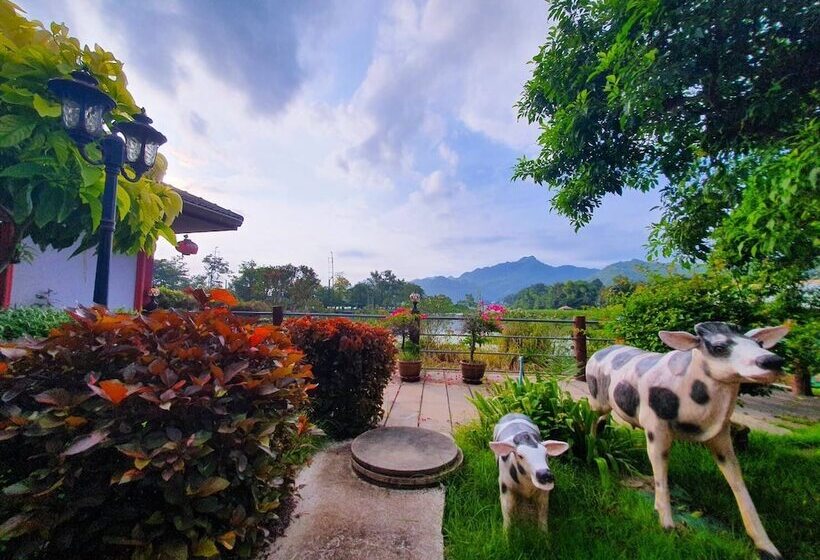 Fotos del hotel Dreampark Resort:  2