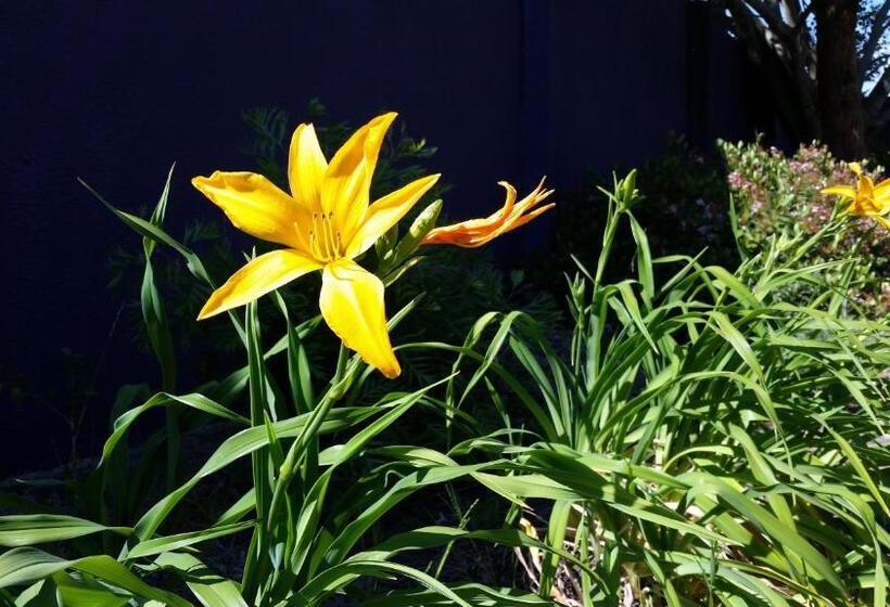 Fotos del hotel Karuah Gardens Motel:  9