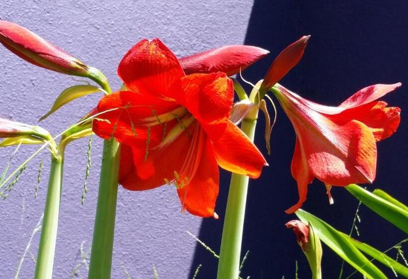 Fotos del hotel Karuah Gardens Motel:  11