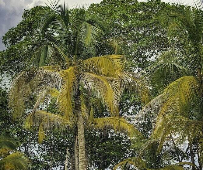 Fotos del hotel Bocas Bali Luxury Water Villas:  16