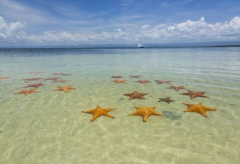 Fotos del hotel Bocas Bali Luxury Water Villas:  10