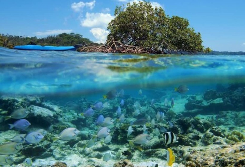 Fotos del hotel Bocas Bali Luxury Water Villas:  3