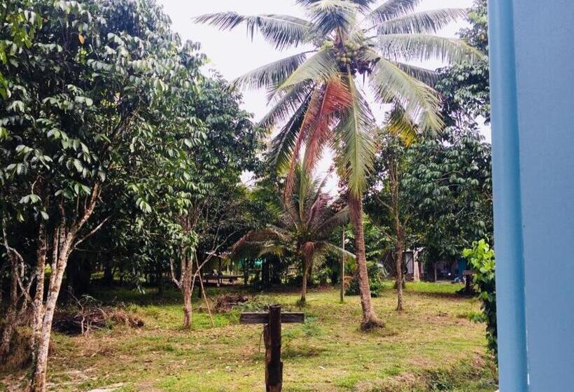 Fotos del hotel Baan  Kalaya Garden:  24