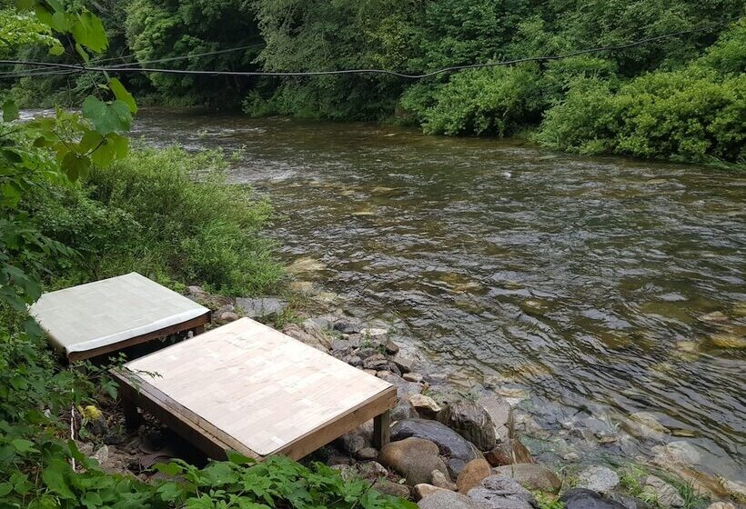 Fotos del hotel Ario Pension:  2