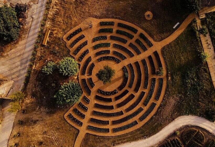 Fotos del hotel Quinta Da Comporta Wellness Boutique Resort:  13