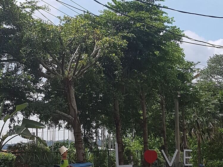 Fotos del hotel Moon Villa:  18