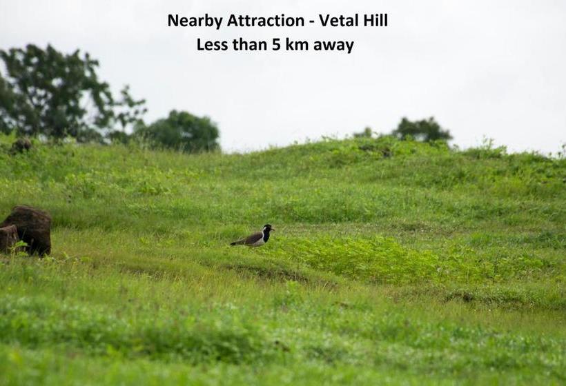 Fotos del hotel Oyo 9533  Milind Villa:  8