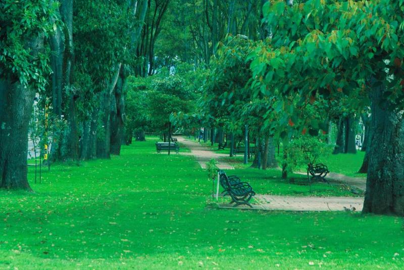 Fotos del hotel Parkway Bogotá:  5