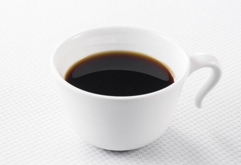 Fotos del hotel Comfort  Kyoto Horikawagojo:  5