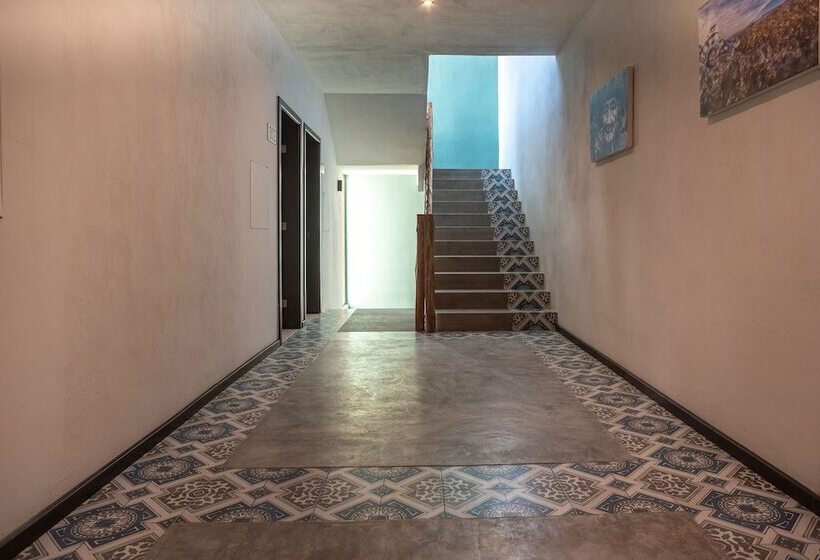 Fotos del hotel Mayari Holbox:  16