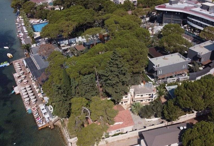 Fotos del hotel Unique Life Style:  14