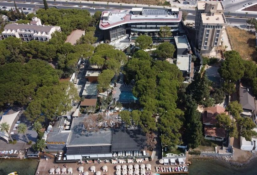 Fotos del hotel Unique Life Style:  6