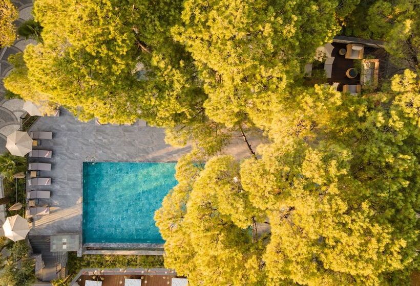 Fotos del hotel Unique Life Style:  5