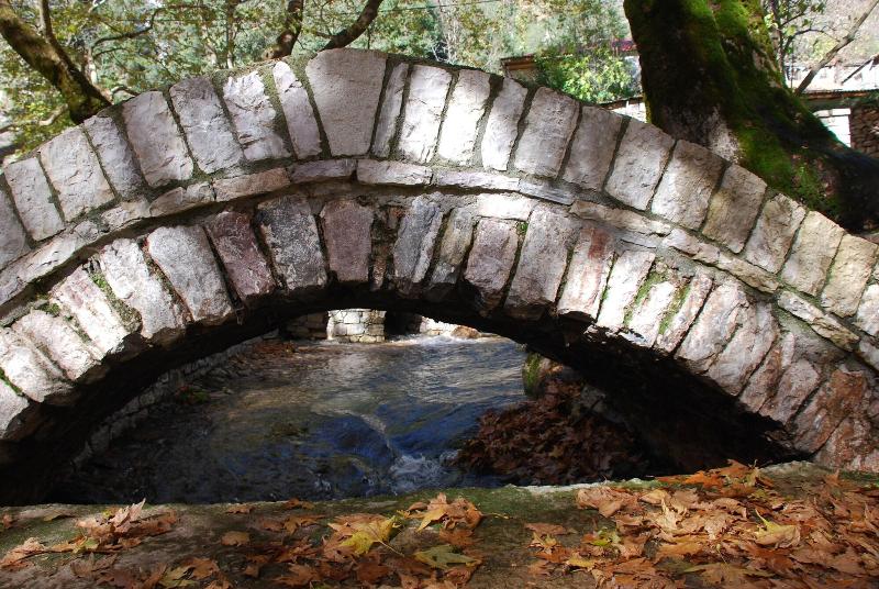 Fotos del hotel To Greki:  15