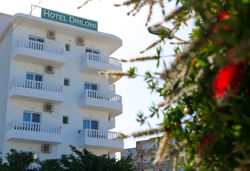 Fotos del hotel Driloni:  4