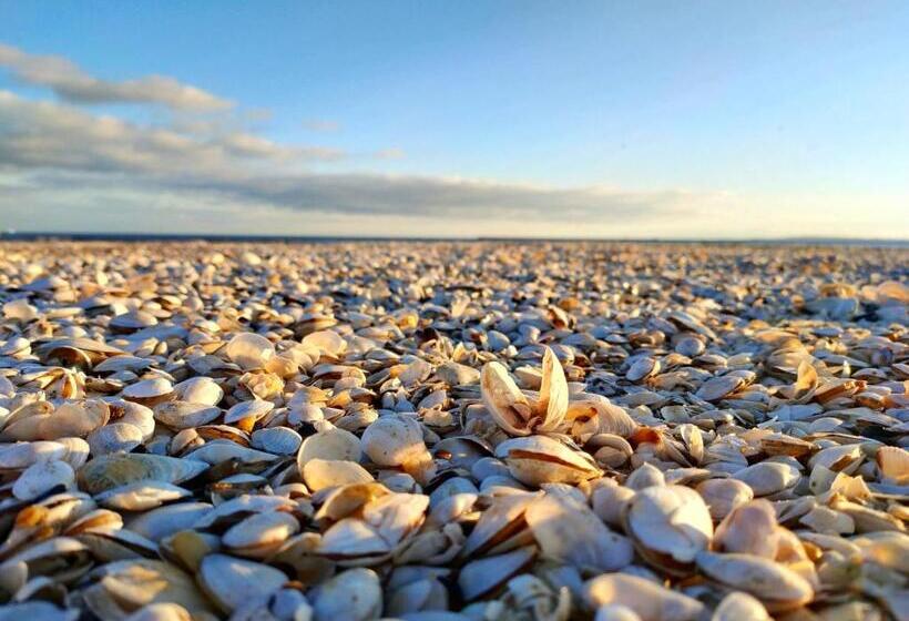 Fotos del hotel Admiral:  18