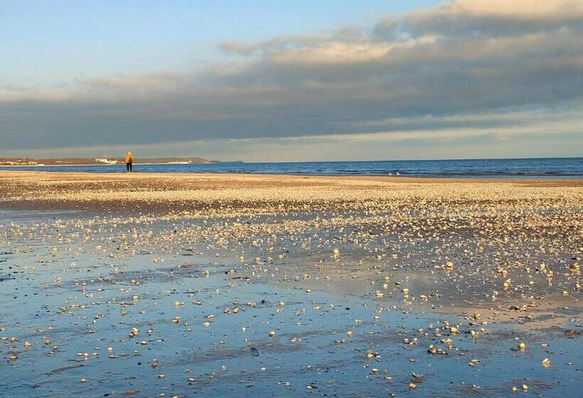 Fotos del hotel Admiral:  19