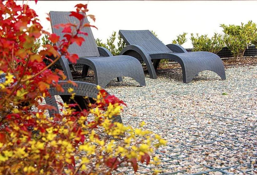 Fotos del hotel Admiral:  6