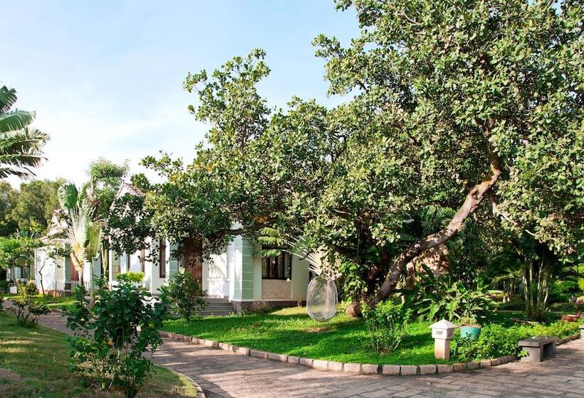 Fotos del hotel Sao Mai Resort:  11