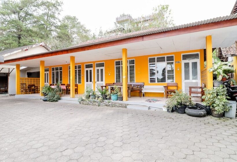 Fotos del hotel Wisma Joyo:  2