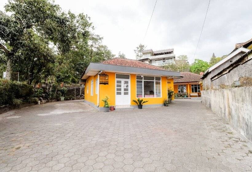 Fotos del hotel Wisma Joyo:  3