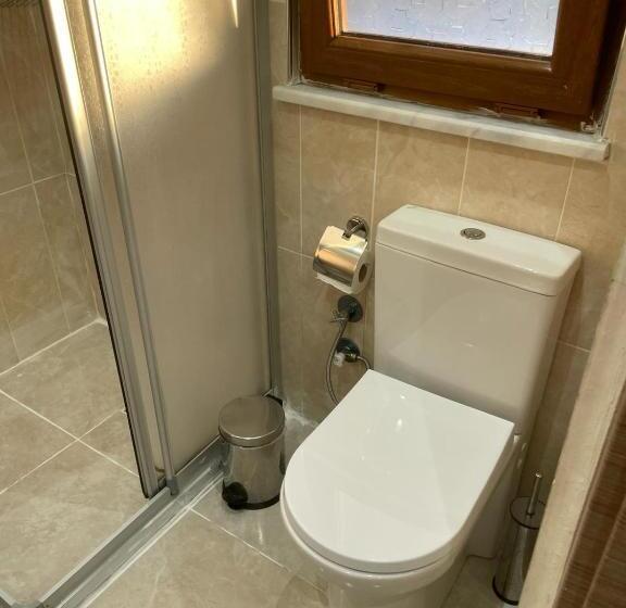 Fotos del hotel Luna Suites Taksim:  7