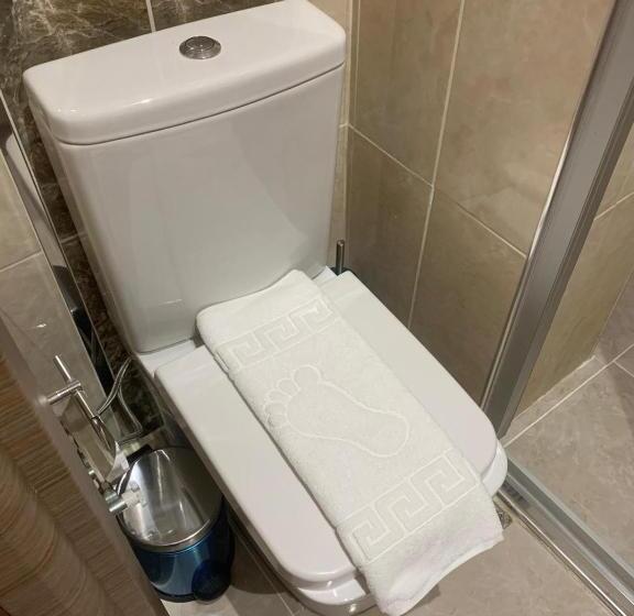 Fotos del hotel Luna Suites Taksim:  20