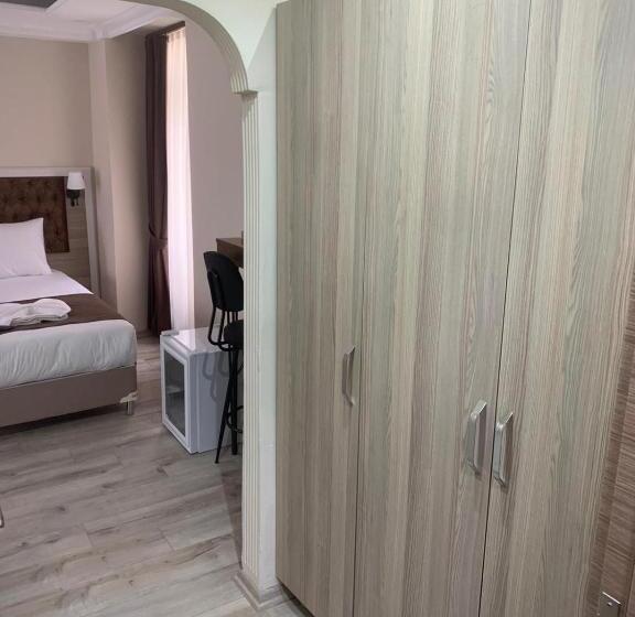 Fotos del hotel Luna Suites Taksim:  12