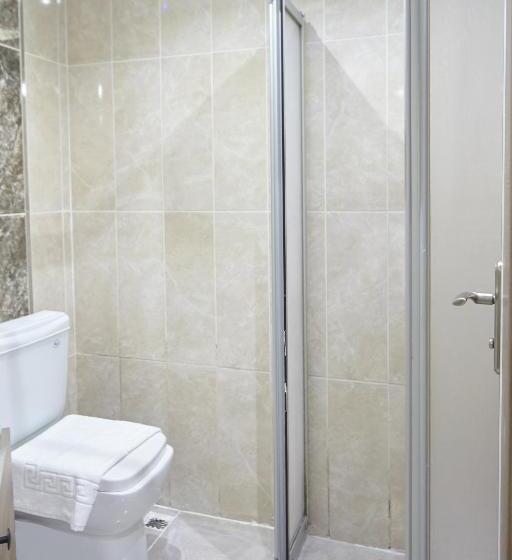 Fotos del hotel Luna Suites Taksim:  13