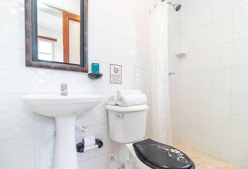 Fotos del hotel Ayenda Eloina:  11